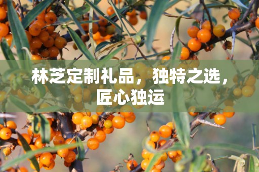 林芝定制礼品，独特之选，匠心独运